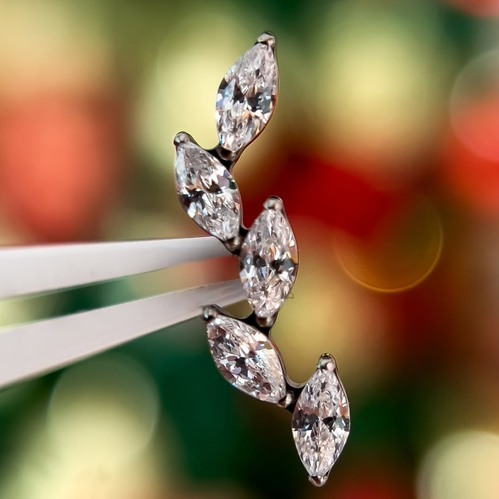 เครื่องประดับเจาะกระดูกอ่อนแบบ - Cluster Stud Ear บทวิจารณ์และราคา