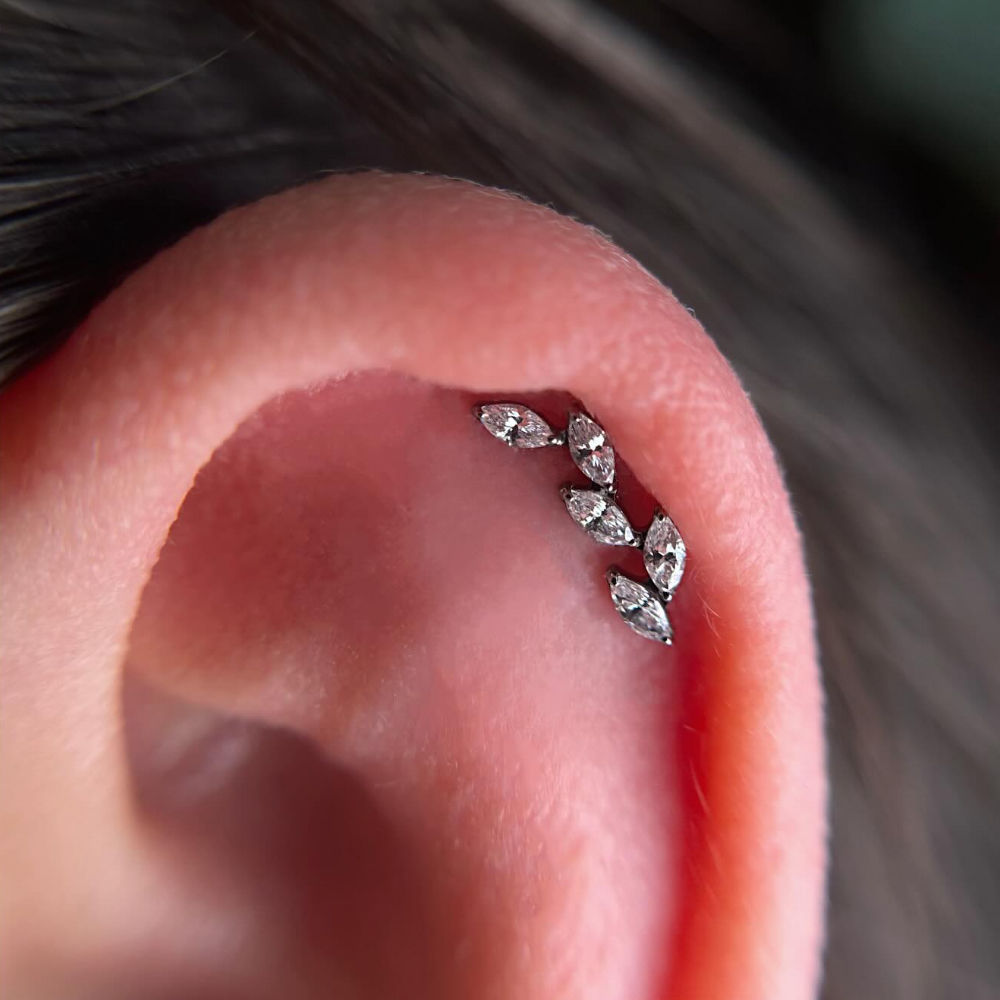 เครื่องประดับเจาะกระดูกอ่อนแบบ - Cluster Stud Ear บทวิจารณ์และราคา