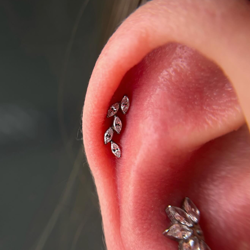 เครื่องประดับเจาะกระดูกอ่อนแบบ - Cluster Stud Ear บทวิจารณ์และราคา