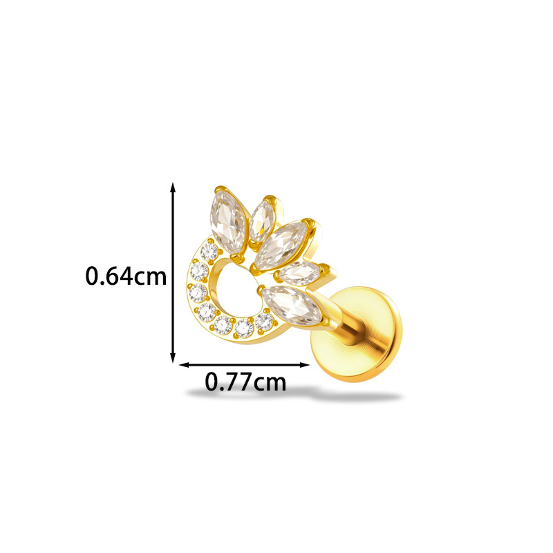 ต่างหูไทเทเนียม G23 ขนาด 16G ร - Body Jewelry Implants บทวิจารณ์และราคา