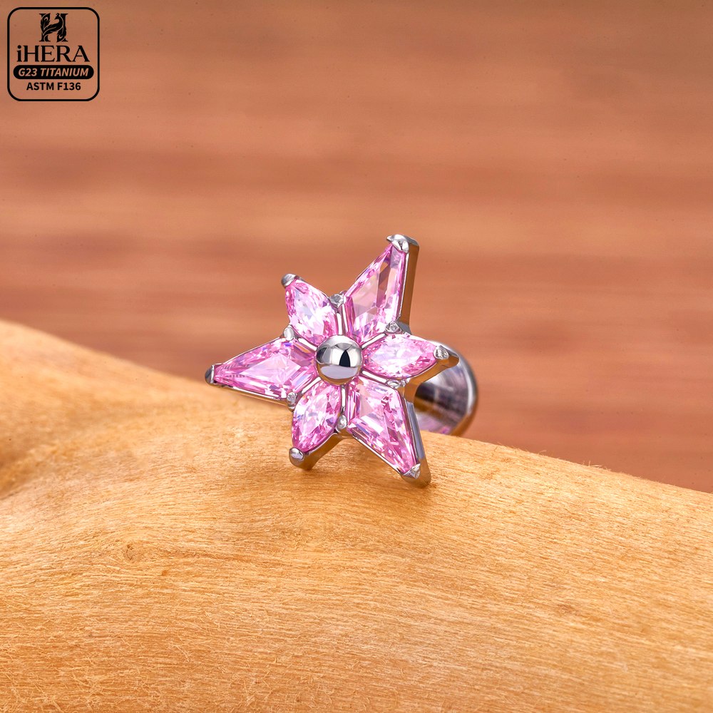 เครื่องประดับเจาะหูไทเทเนียม A - Cluster Stud Ear บทวิจารณ์และราคา