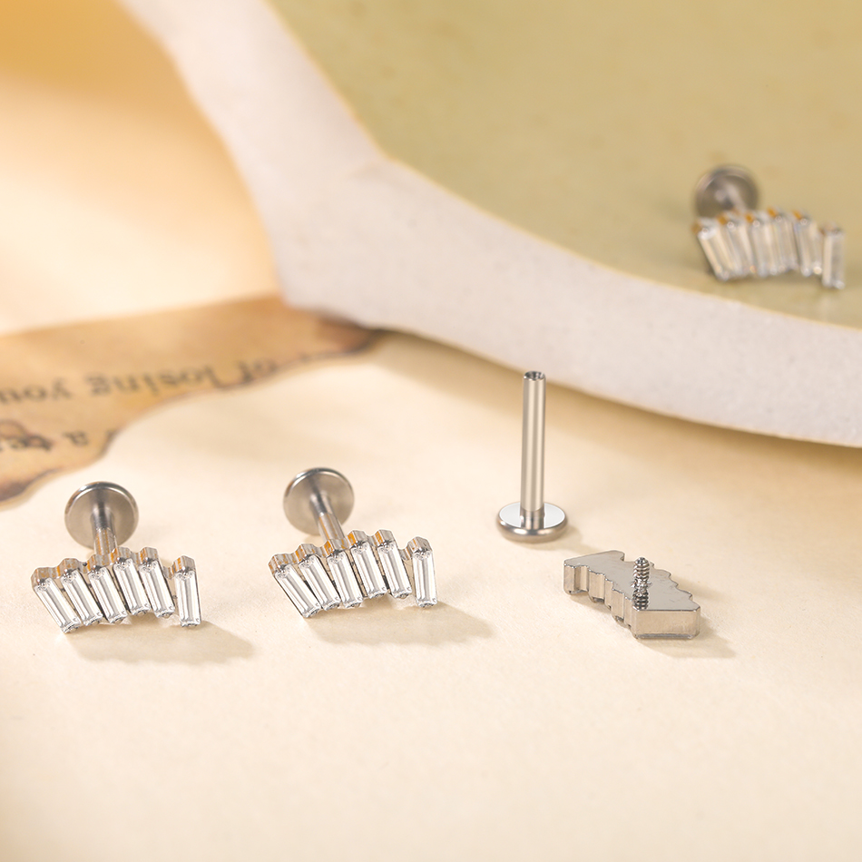 1/5Pcs G23 ไทเทเนียมหู Labret  - Cluster Stud Ear บทวิจารณ์และราคา