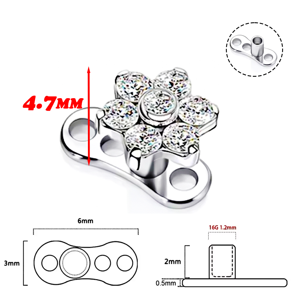 เครื่องประดับเจาะร่างกายแบบซ่อ - Body Jewelry Implants บทวิจารณ์และราคา